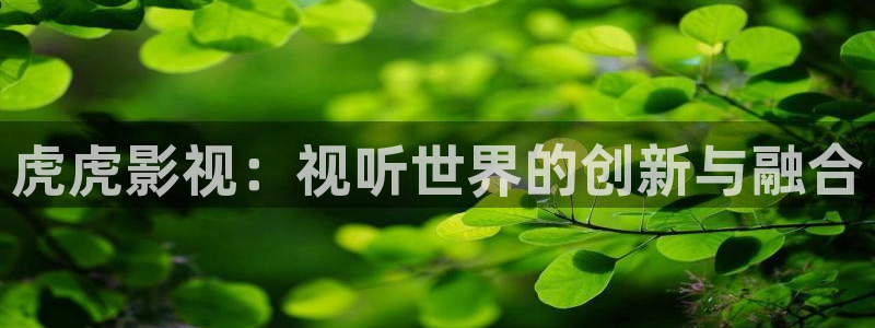 丝瓜视频18：虎虎影视：视听世界的创新与融合